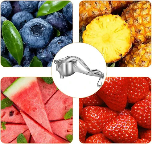 Exprimidor Metálico de Jugo de Fruta Saludable
